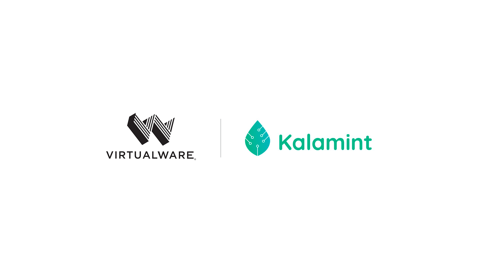 Thumbnail news Virtualware Kalamint